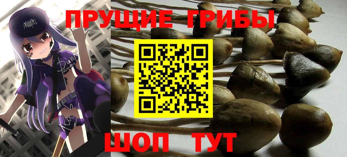 Нижний Тагил  Псилоцибиновые грибы мицелий  Вход с VPN 