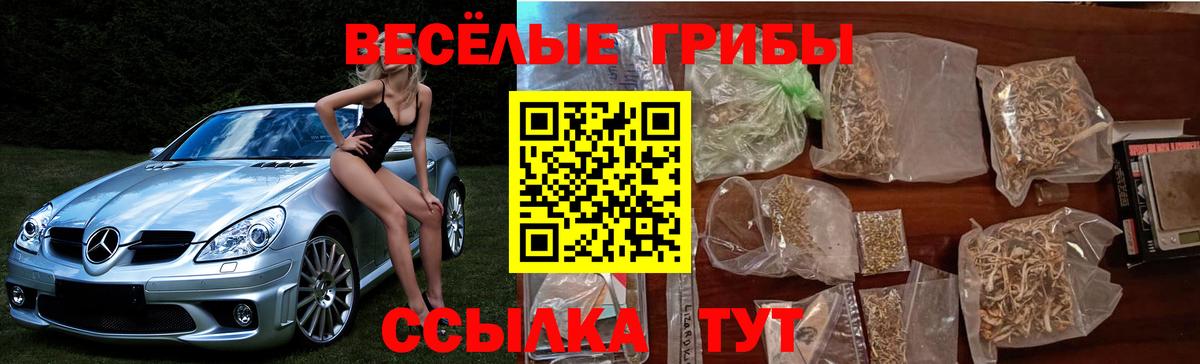 Галлюциногенные грибы мухоморы Нижний Тагил
